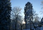 Parkanlage-16  Winterstimmung : Adolphus Busch, Bau und Natur, Villa Lilly