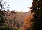 Parkanlage-22  Herbststimmung : Adolphus Busch, Bau und Natur, Villa Lilly
